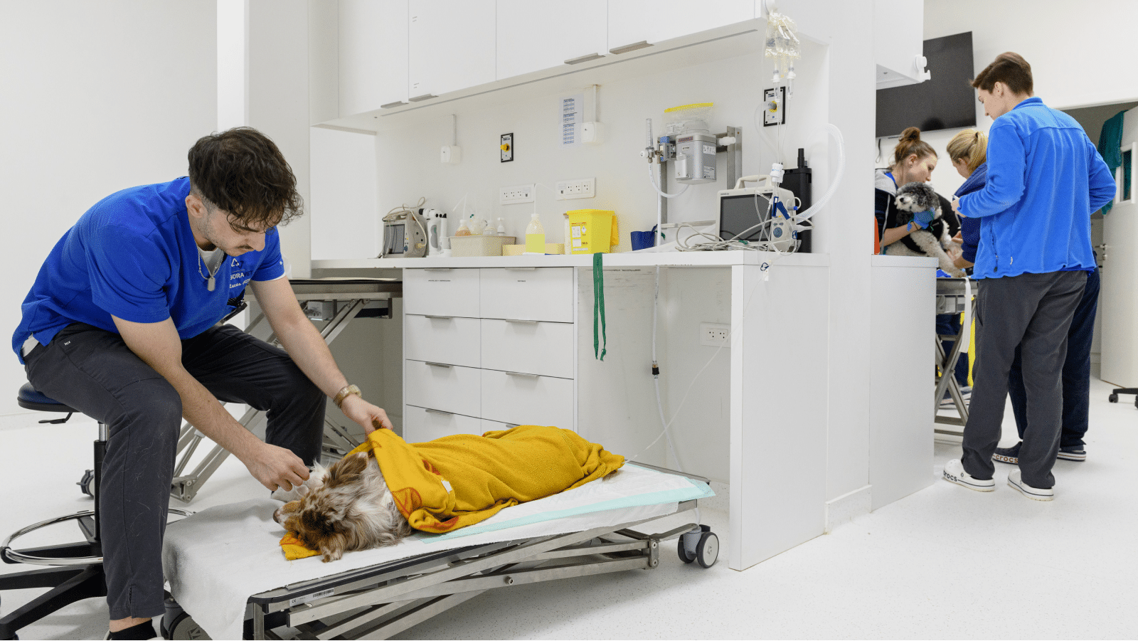 Vétérinaires soignant des animaux à Urgence Vétérinaire 67 à Strasbourg.